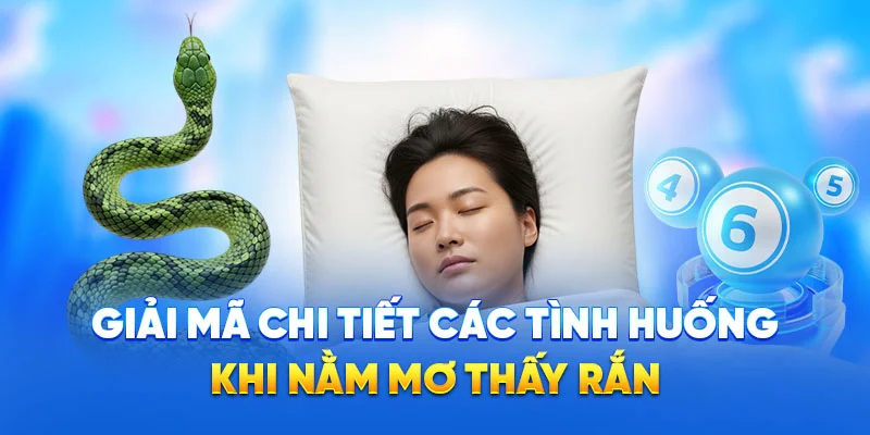 Nằm Mơ Thấy Rắn - Giải Mã Giấc Mơ Mang Thông Điệp Gì 2025 2 Giải mã chi tiết các tình huống khi nằm mơ thấy rắn